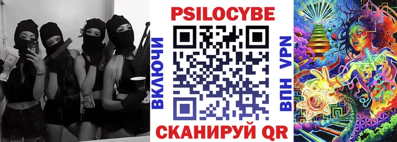 Купить закладки  Соль-Илецк  Псилоцибиновые грибы Cubensis 