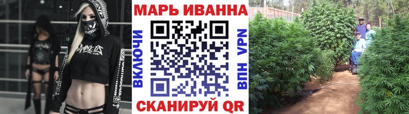 Купить где  Соль-Илецк  Каннабис семена 